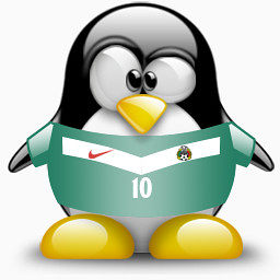 墨西哥企鹅年世界杯晚礼服