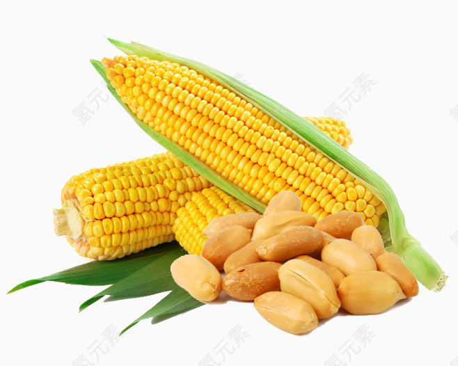 玉米和花生