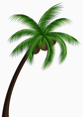 青翠椰子树免抠素材