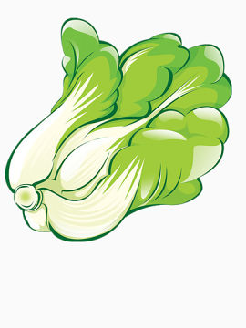 绿色的大白菜