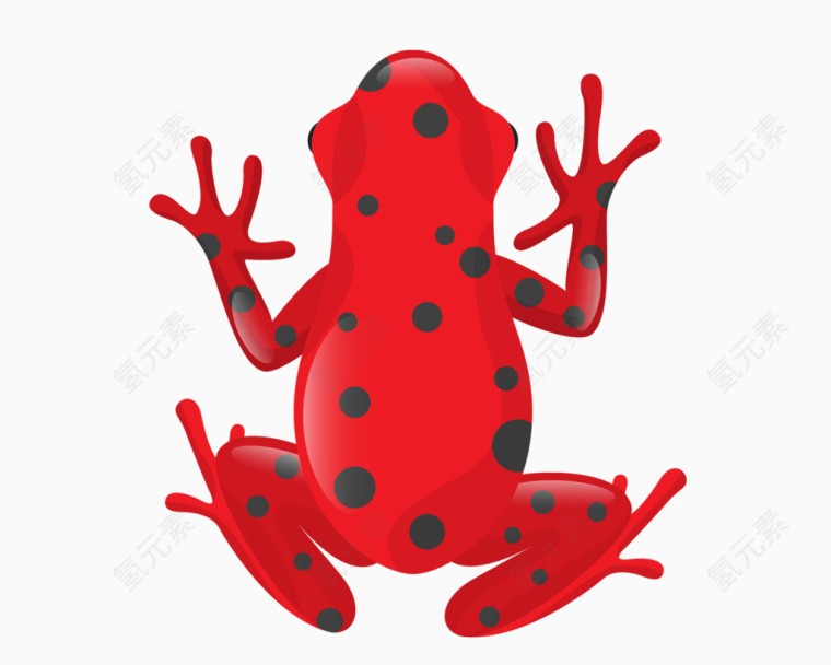 斑点红色青蛙