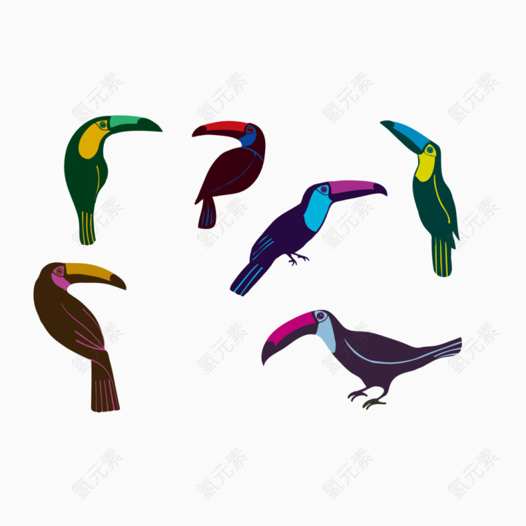 矢量图彩色的大嘴鸟