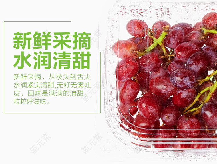 新鲜菩提