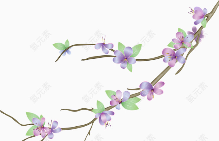 紫色手绘小花