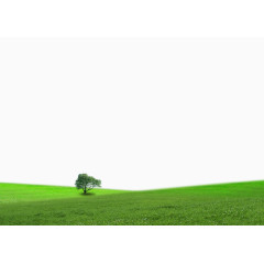 绿色草原