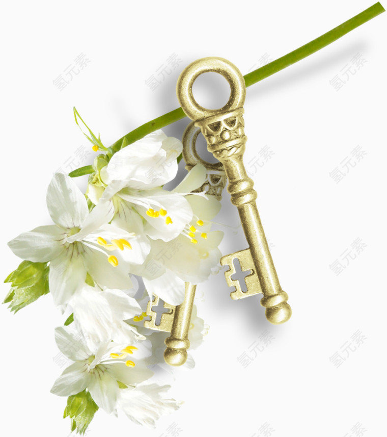 花枝钥匙