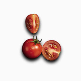 西红柿素材装饰