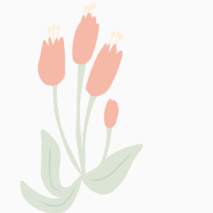 粉色植物小花