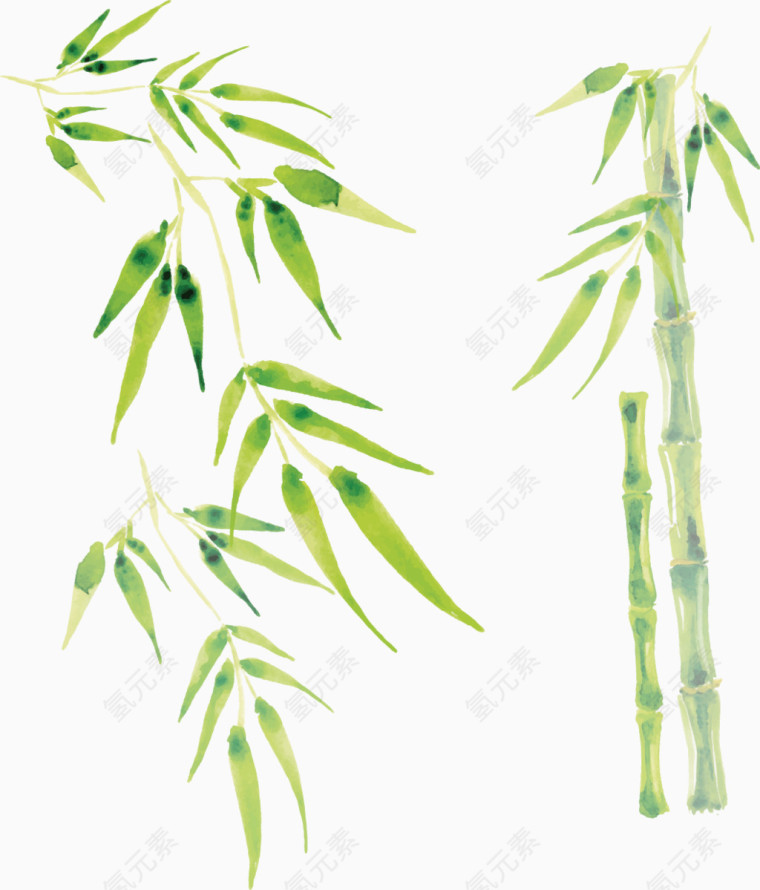矢量手绘树叶和竹子