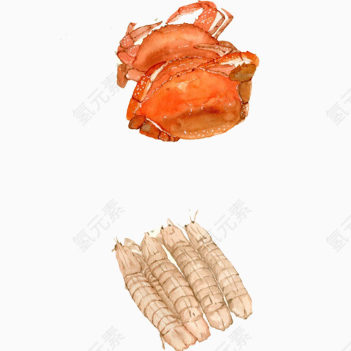 清蒸梭子蟹手绘画素材图片
