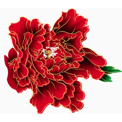大红色的牡丹花