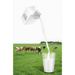 牛奶草原