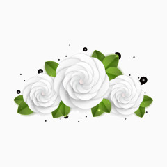 精美立体白色玫瑰花