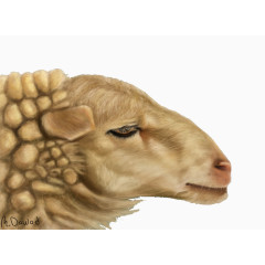 羊头图案