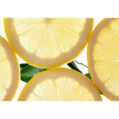 透明柠檬片水果素材