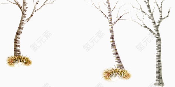 冬季黄色枯树和干草
