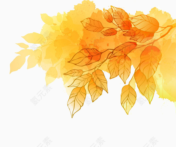 金黄秋季树叶