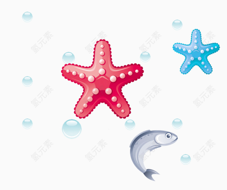 海洋小鱼海星
