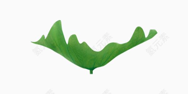 绿色清新中国风荷叶素材