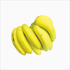 生鲜香蕉