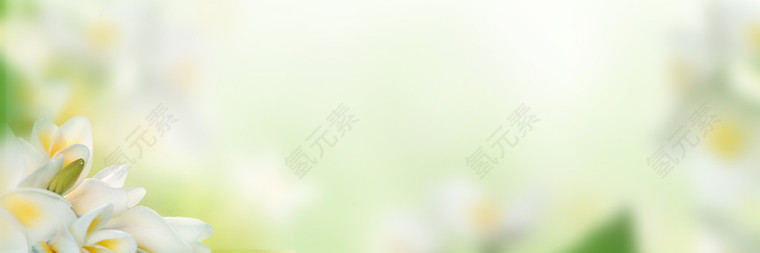 花朵背景图案