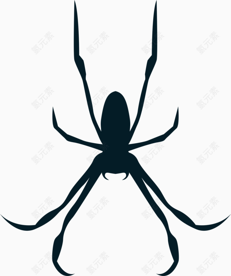 岔腿蜘蛛