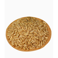 晾晒的燕麦米免抠素材