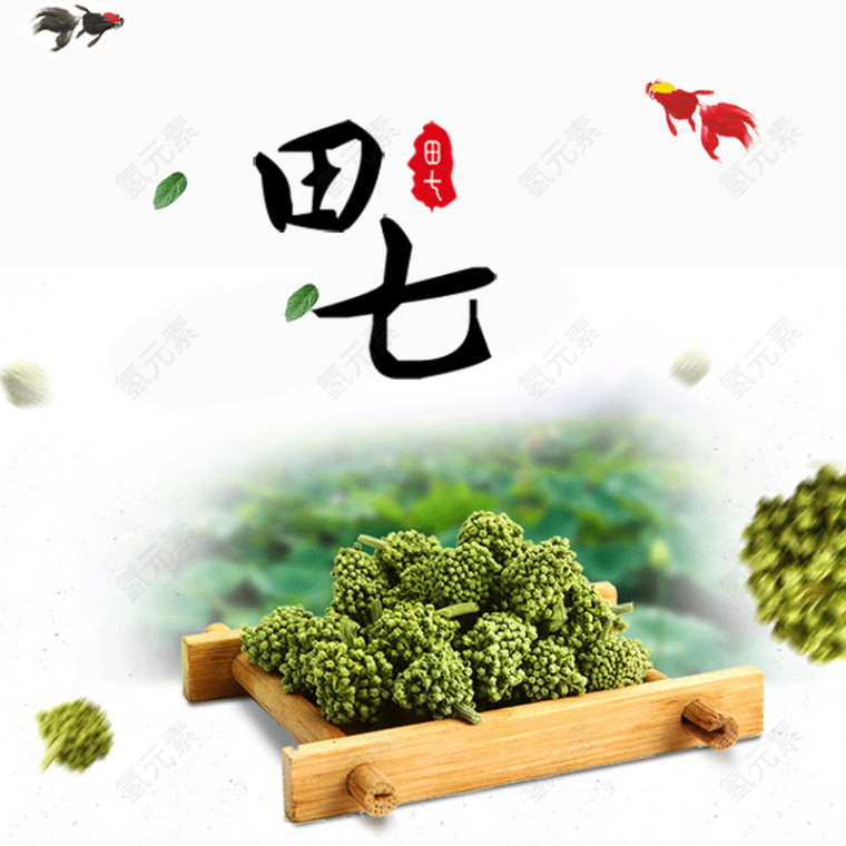 田七中草药