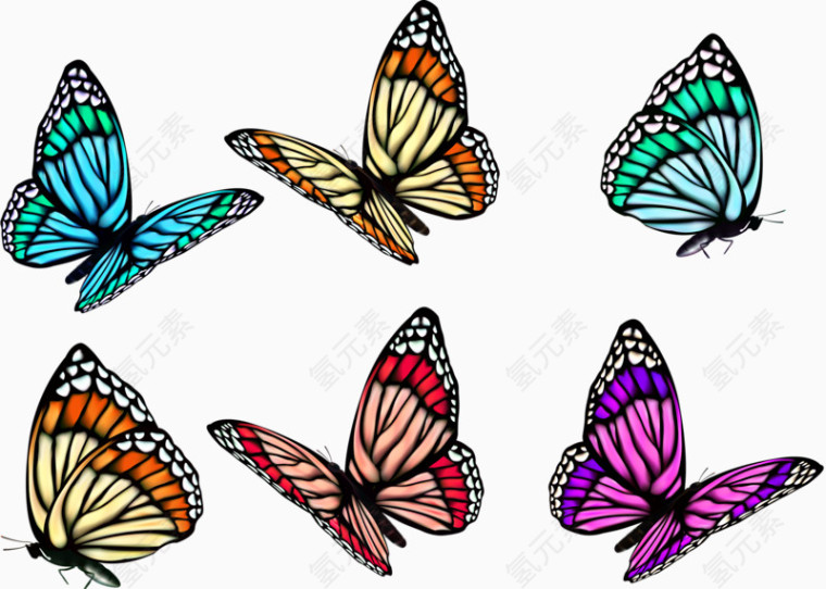 五彩斑斓的蝴蝶