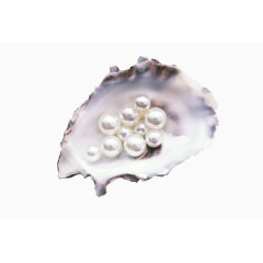 贝壳里的洁白珍珠