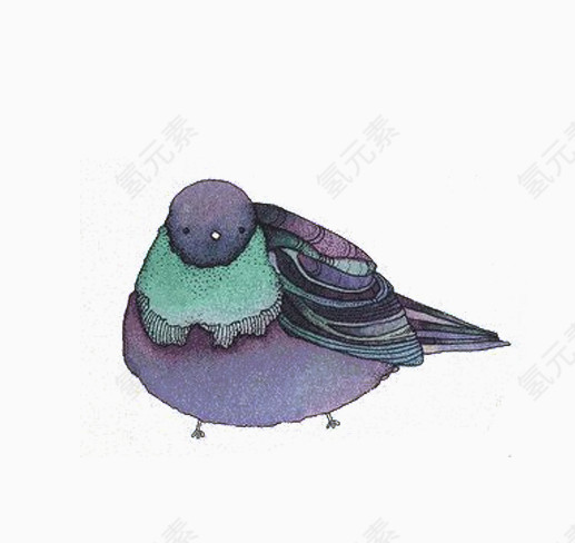 深紫色鸟儿