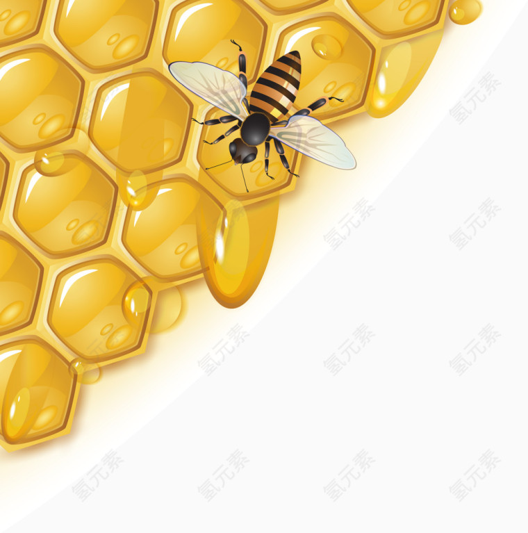 蜂蜜蜂巢矢量