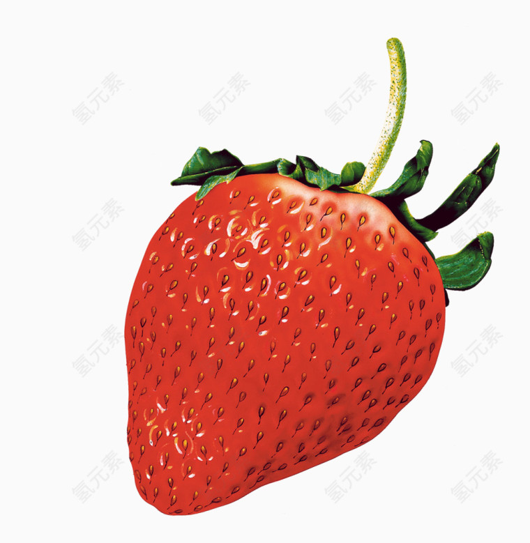 草莓免扣图片