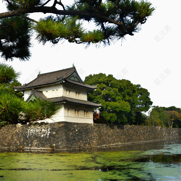 东京旅游图片