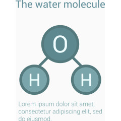 水分子信息图表矢量元素