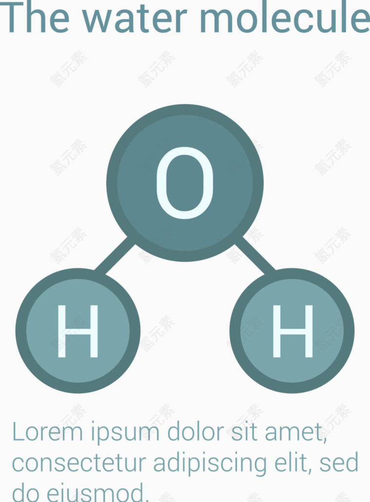 水分子信息图表矢量元素