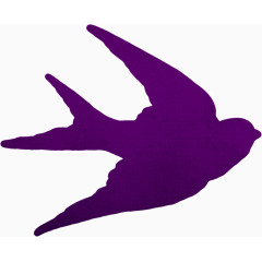 紫色燕子