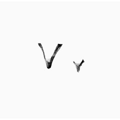 蜘蛛网字母V
