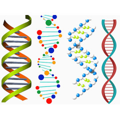 彩色DNA双螺旋图形
