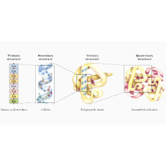 医学界分子转换模型