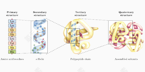 医学界分子转换模型