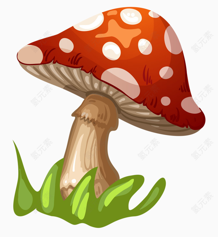 长大的蘑菇