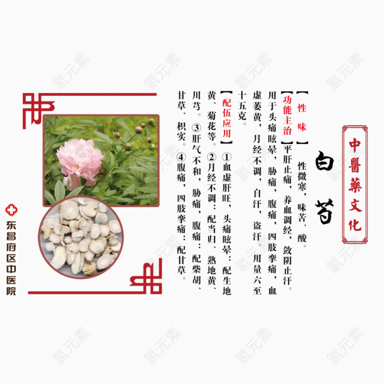 中药白芍介绍免费图片