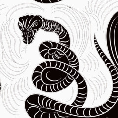 抽象艺术花纹蛇