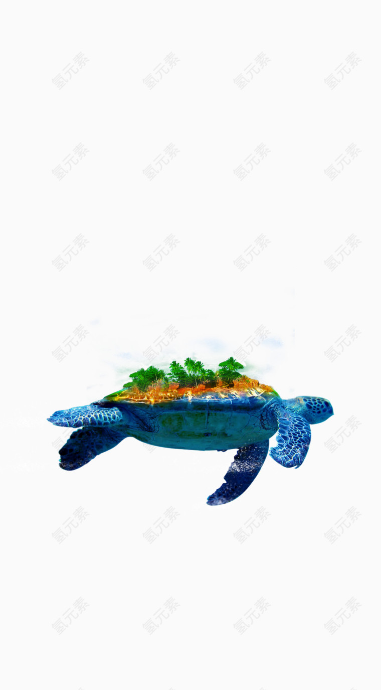 创意海龟