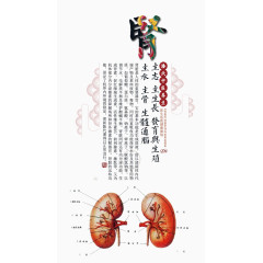 中医养生海报