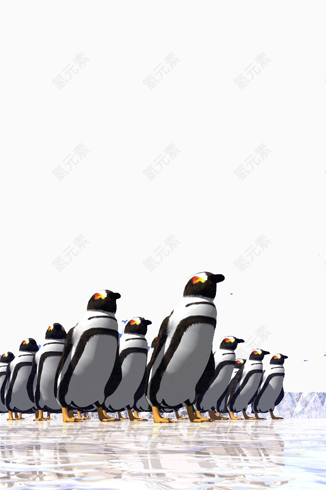 南极企鹅创意图片