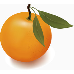 橘子矢量