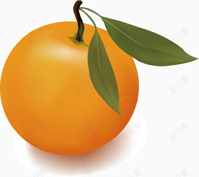 橘子矢量