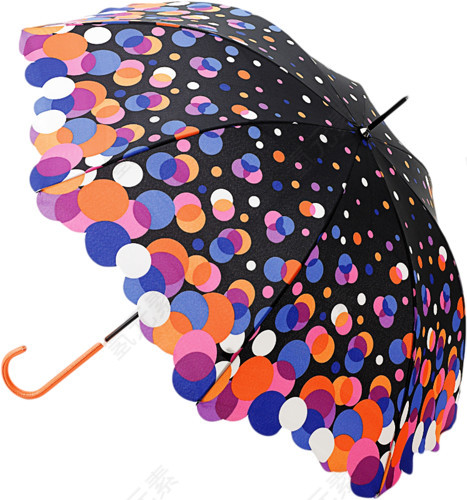 斑点雨伞